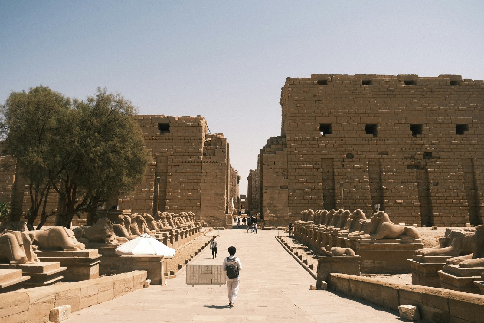 Fleur dahabiya nile cruise route Luxor to Aswan Upper Egypt temples